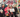 TUTUMOMO supports Hong Kong's 'Dreamlanders' student exhibition - [Dream Together] Student Art Exhibition